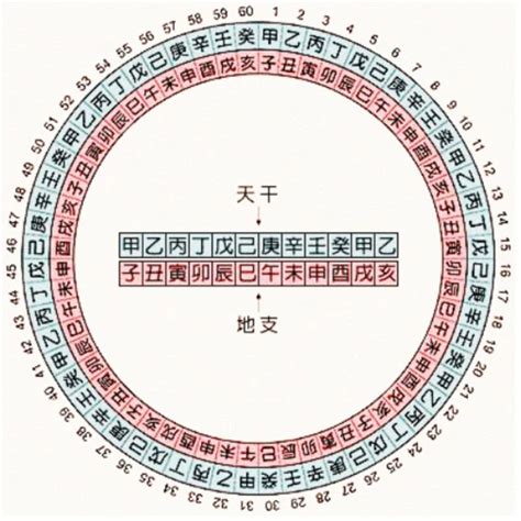 十天干五行|五行天干地支對照表